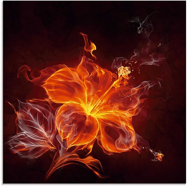 Artland Glasbild »Feuerblume«, Blumen, (1 St.), in verschiedenen Größen günstig online kaufen