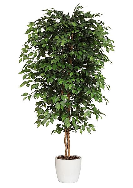 Creativ green Kunstpflanze "Ficus Benjamini" günstig online kaufen