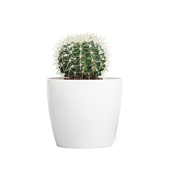 KAGM Blumentopf Übertopf Pflanztopf Hochglanz Pflanzkübel günstig online kaufen