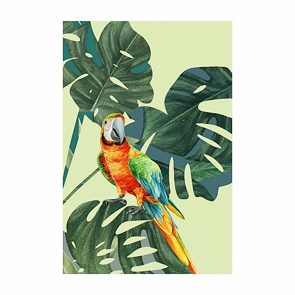 Komar Bild "Green-Winged Macaw", Natur, (1 St.), Wandbild zur Dekoration - günstig online kaufen