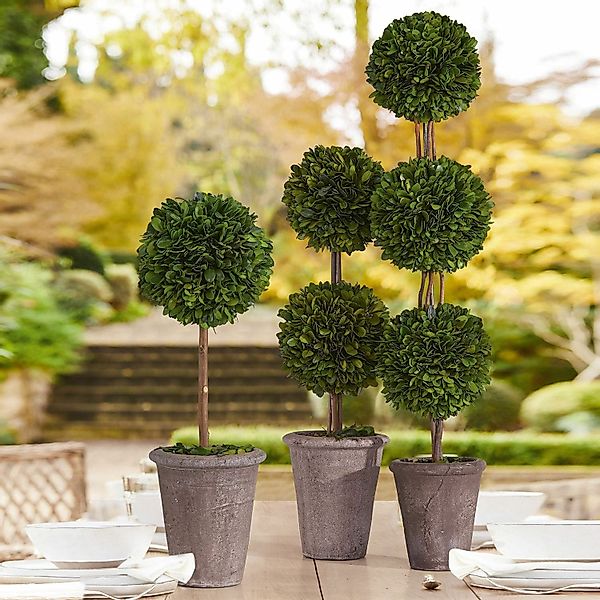 Kunstblume Deko-Baum Aube grün, Mirabeau, Höhe günstig online kaufen