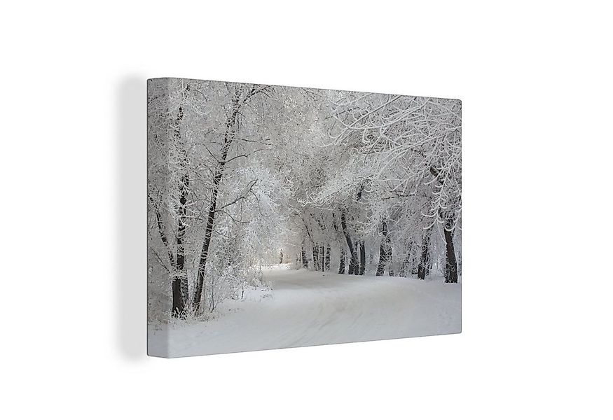 OneMillionCanvasses® Leinwandbild Bäume - Schnee - Winter, Fotodruck (1 St) günstig online kaufen