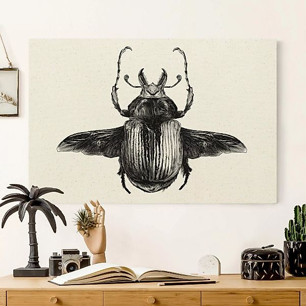 Leinwandbild auf Naturcanvas Illustration fliegender Käfer Schwarz günstig online kaufen