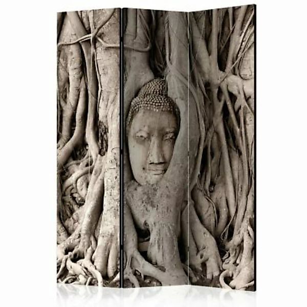 artgeist Paravent Buddha's Tree [Room Dividers] beige Gr. 135 x 172 günstig online kaufen