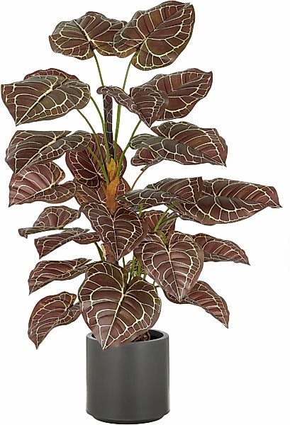 Creativ green Kunstpflanze "Anthurium", mit naturgetreuer Gestaltung günstig online kaufen