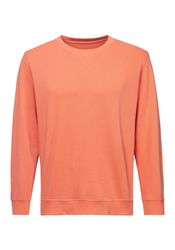 KangaROOS Sweatshirt "mit Rundhalsausschnitt" mit coolem Rippeinsatz am Aus günstig online kaufen
