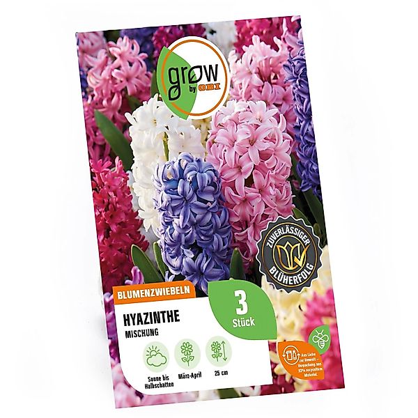 GROW by OBI Hyazinthen Mischung 3 Stück Hyacinthus orientalis Mixed günstig online kaufen