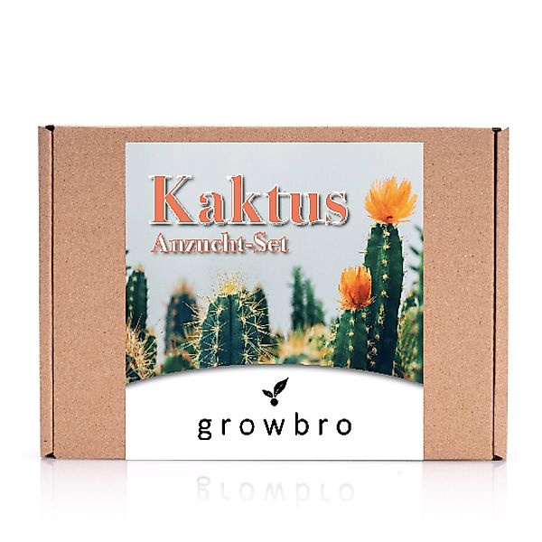 Kunstkaktus KAKTUS Anzuchtset inkl. Sprühflasche PERFEKTES GESCHENK, growbr günstig online kaufen