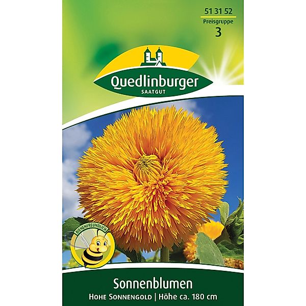 Quedlinburger Sonnenblume ''hohe Sonnengold'' günstig online kaufen