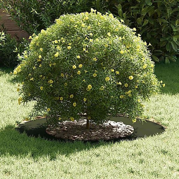 vidaXL Blumentopf Flache Baumringe 5 pcs günstig online kaufen