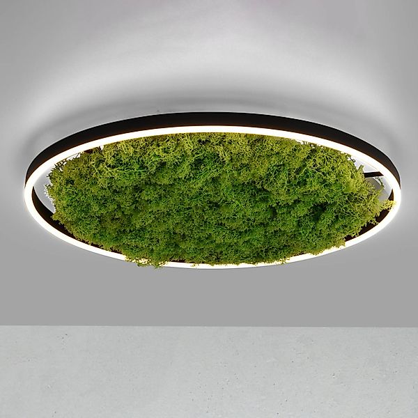 JUST LIGHT Deckenleuchte GREEN RITU, LED günstig online kaufen