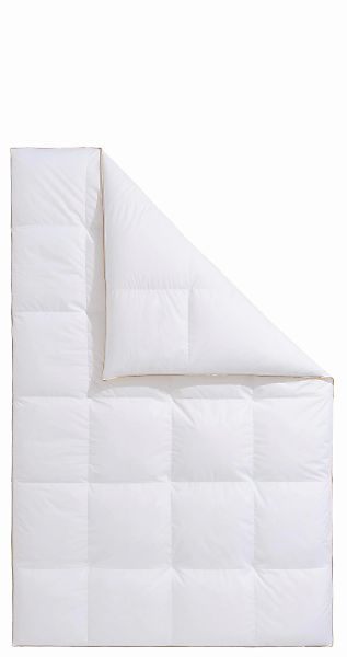 Frau Holle Gänsedaunenbettdecke "Dana, Bettdecken für Sommer oder Winter, h günstig online kaufen