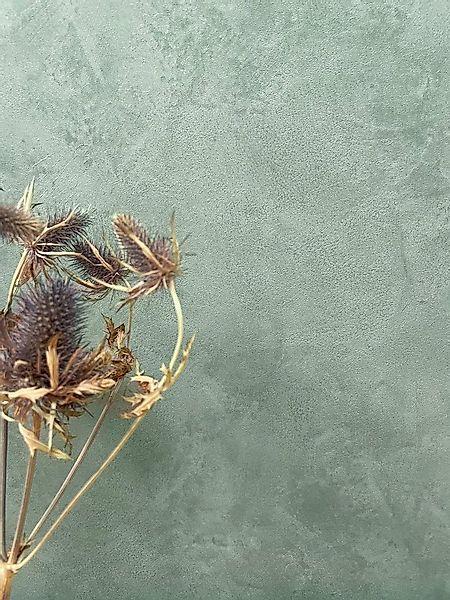 Newroom Vliestapete, Grün Tapete Uni Einfarbig - Unitapete Betontapete Mode günstig online kaufen