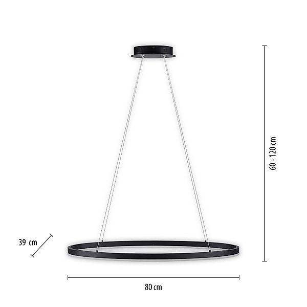 Paul Neuhaus Pendelleuchte TITUS, Memory, nach Trennung vom Netz, LED fest günstig online kaufen