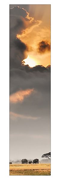 Bilderdepot24 Schiebegardine modern Flächenvorhang blickdicht Elefanten günstig online kaufen