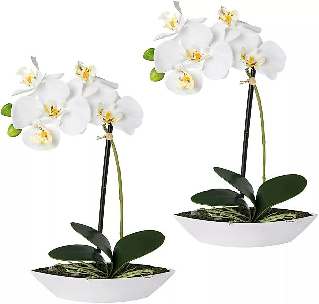 Creativ green Kunstorchidee "Phalaenopsis" günstig online kaufen