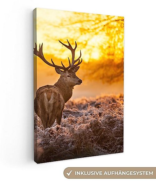 OneMillionCanvasses® Leinwandbild Hirsche - Tiere - Sonnenuntergang - Winte günstig online kaufen