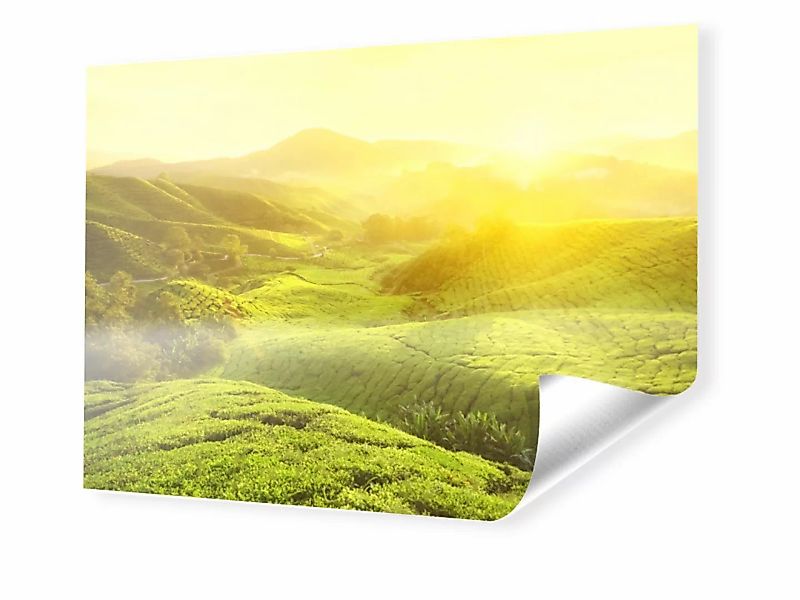 Foto auf PVC-Plane im Format 60 x 45 cm im Format 60 x 45 cm günstig online kaufen