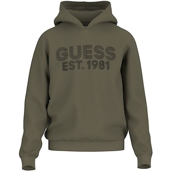 Guess  Sweatshirt Kapuzensweatshirt Hoodie BEAU günstig online kaufen