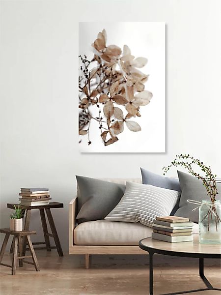 Poster / Leinwandbild - Snowy Hydrangea Flowers 1 Of 2 - Hortensie günstig online kaufen