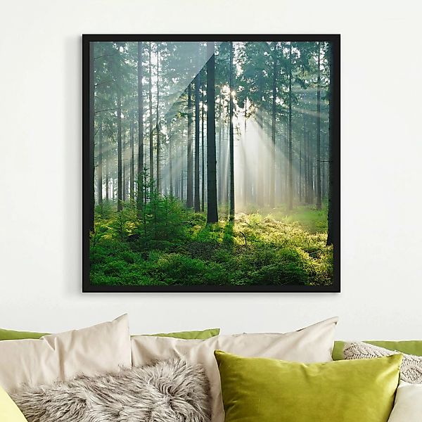 Bild mit Rahmen - Quadrat Enlightened Forest günstig online kaufen