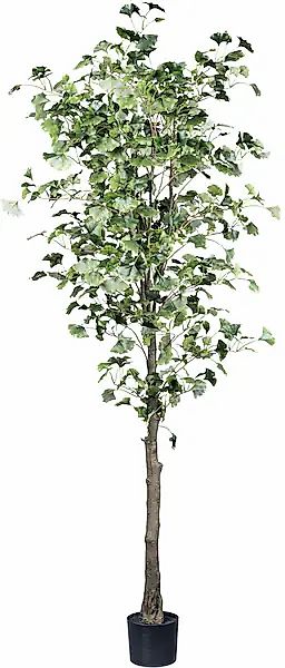 Creativ green Kunstpflanze »Gingkobaum« mit detailgetreuem Blattwerk günstig online kaufen