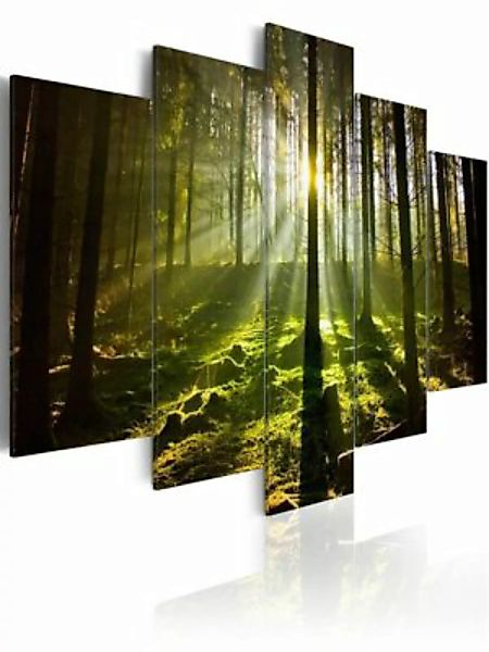 artgeist Wandbild Spring silence mehrfarbig Gr. 200 x 100 günstig online kaufen