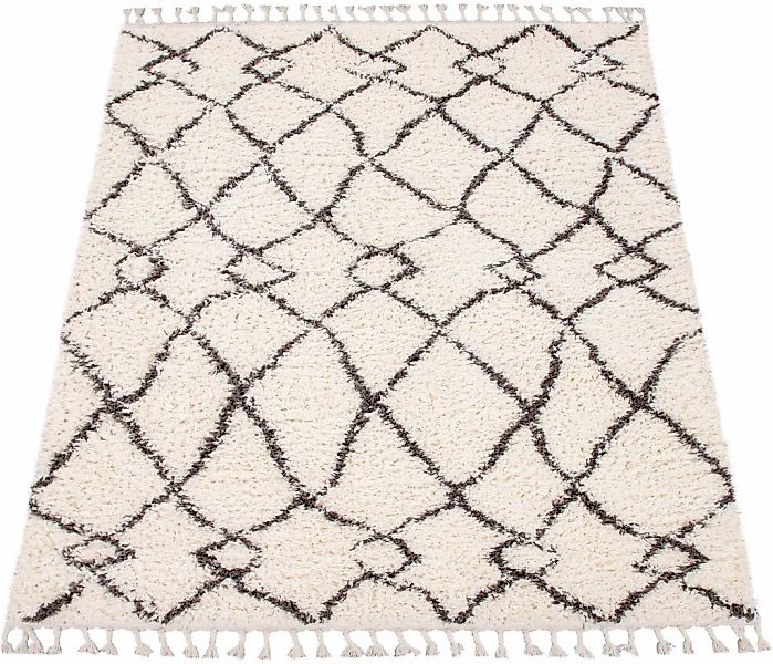 Paco Home Hochflor-Teppich "Orebro 170" rechteckig 44 mm Höhe modernes Raut günstig online kaufen