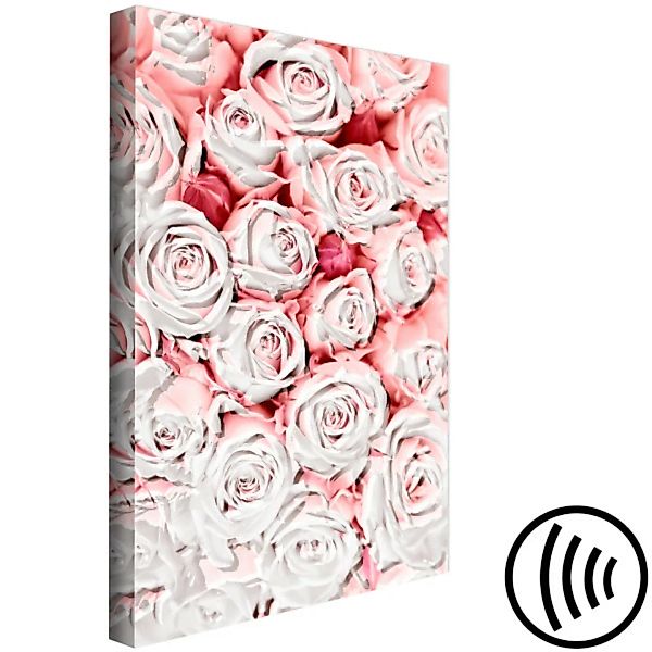 Bild auf Leinwand Sonnenrosen - Blumen in rosa und weißen Nuancen  XXL günstig online kaufen