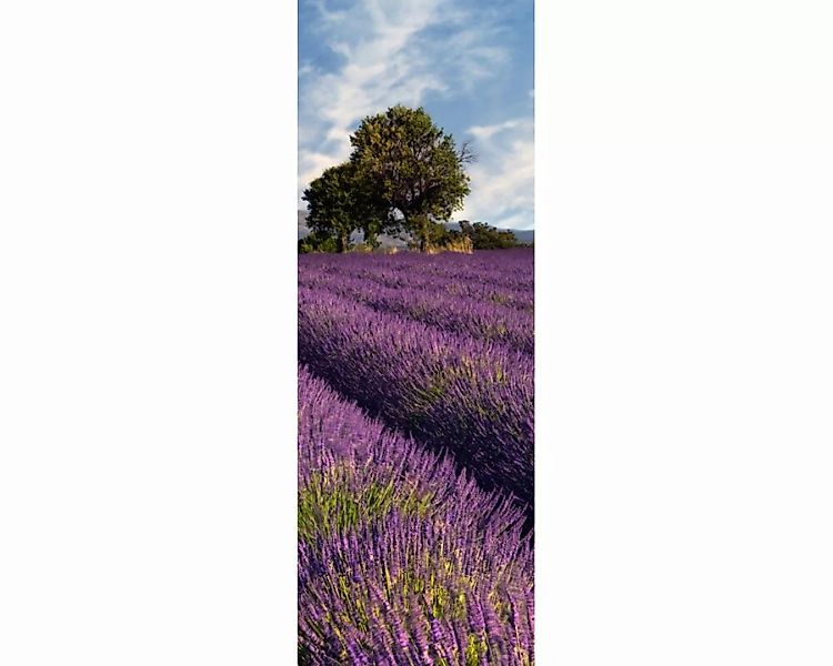 Dekopanel "Lavendelfeld" 1,00x2,80 m / Strukturvlies Klassik günstig online kaufen