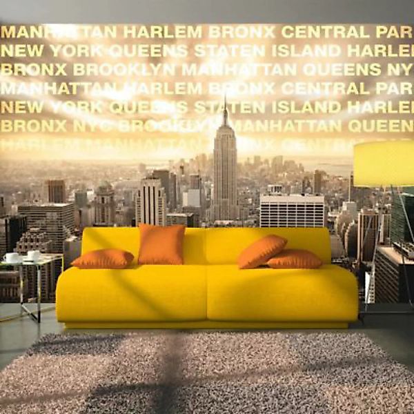 artgeist Fototapete Neighborhoods of New York mehrfarbig Gr. 250 x 175 günstig online kaufen