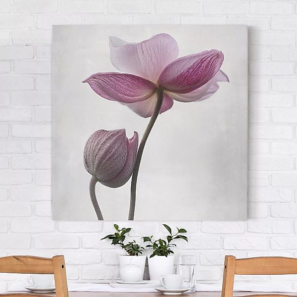 Leinwandbild Blumen - Quadrat Anemonen in rosa günstig online kaufen