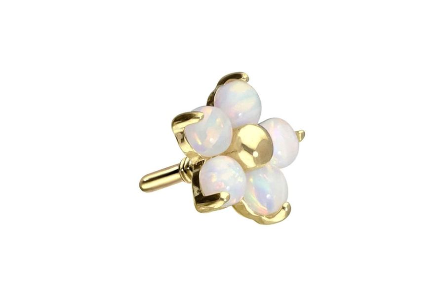 PIERCINGLINE Piercing-Set 14 Karat Gold Schraubaufsatz günstig online kaufen