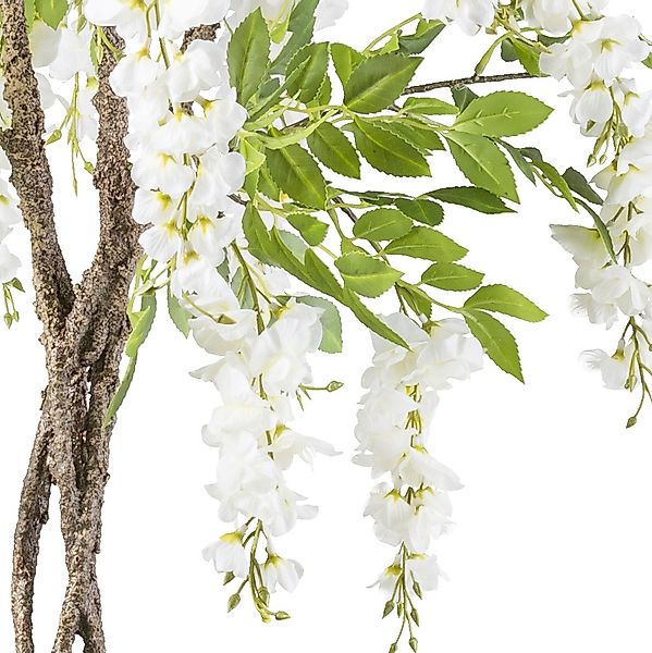 Creativ green Kunstbaum »Weißer Blauregen« mit geflochtenem Stamm günstig online kaufen