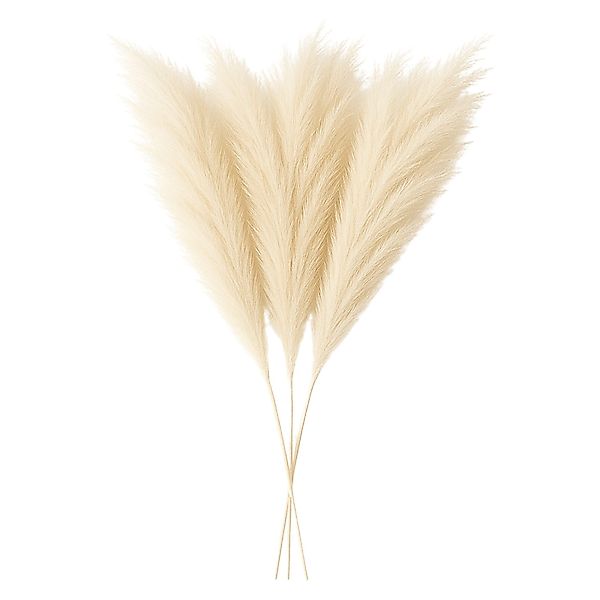 Kunstpflanze Layba Künstliches Pampasgras in Beige günstig online kaufen