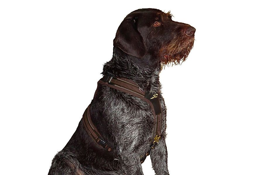 Niggeloh Hunde-Geschirr Hundeführgeschirr Follow 3 günstig online kaufen