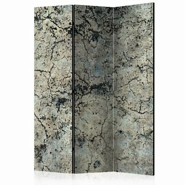 artgeist Paravent Cracked Stone [Room Dividers] grau/beige Gr. 135 x 172 günstig online kaufen