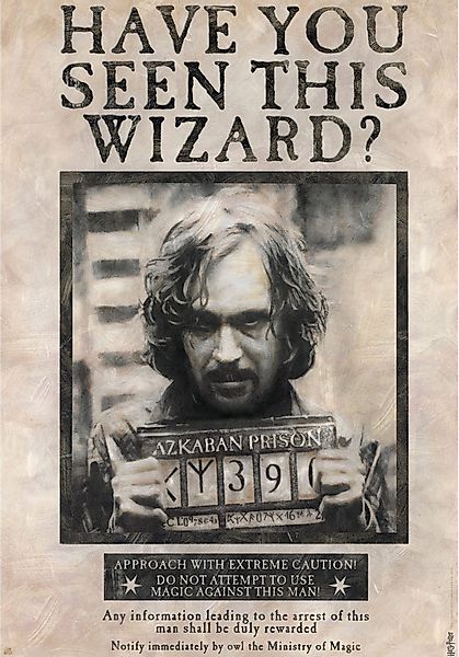 Poster Harry Potter - Poster - günstig online kaufen