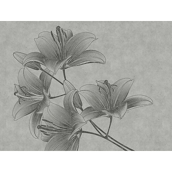 One Wall one Role Fototapete Blumenmuster Grau 371 x 280 cm AS-382781 günstig online kaufen