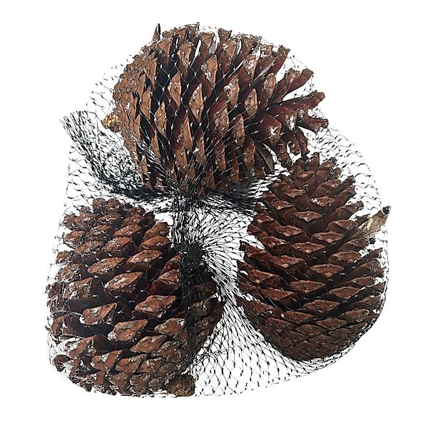 Mica Decorations Kieferzapfen Basteldekoration 220 g Hellbraun günstig online kaufen