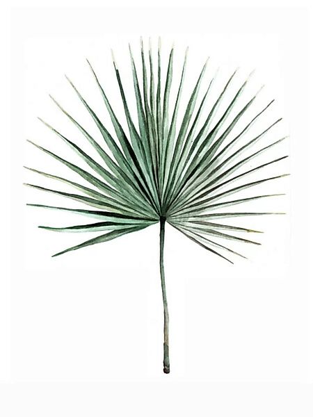 Poster / Leinwandbild - Mantika Botanical Palmwedel günstig online kaufen