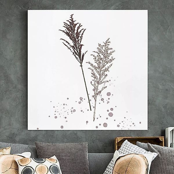 Leinwandbild - Quadrat Botanisches Aquarell - Schwingelschilf günstig online kaufen