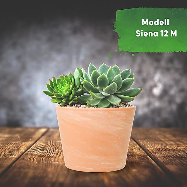 LENI Blumentopf Siena Terrakotta matt rund günstig online kaufen