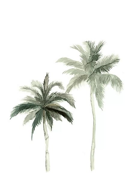 Poster / Leinwandbild - Botanical Palmtrees günstig online kaufen