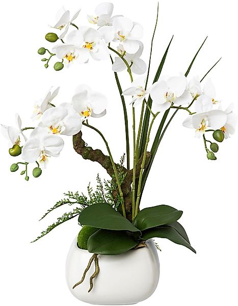 Kunstorchidee Deko-Orchidee Phalaenopsis im Keramiktopf Orchidee günstig online kaufen