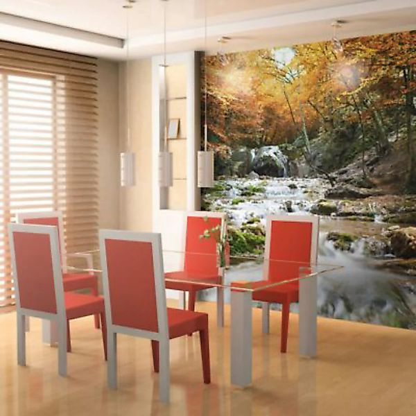 artgeist Fototapete Herbst - Wasserfall mehrfarbig Gr. 250 x 193 günstig online kaufen