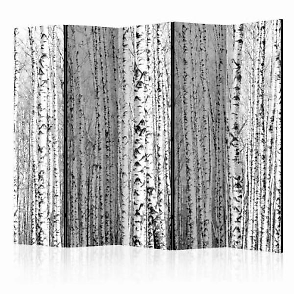 artgeist Paravent Birch forest II [Room Dividers] schwarz/weiß Gr. 225 x 17 günstig online kaufen