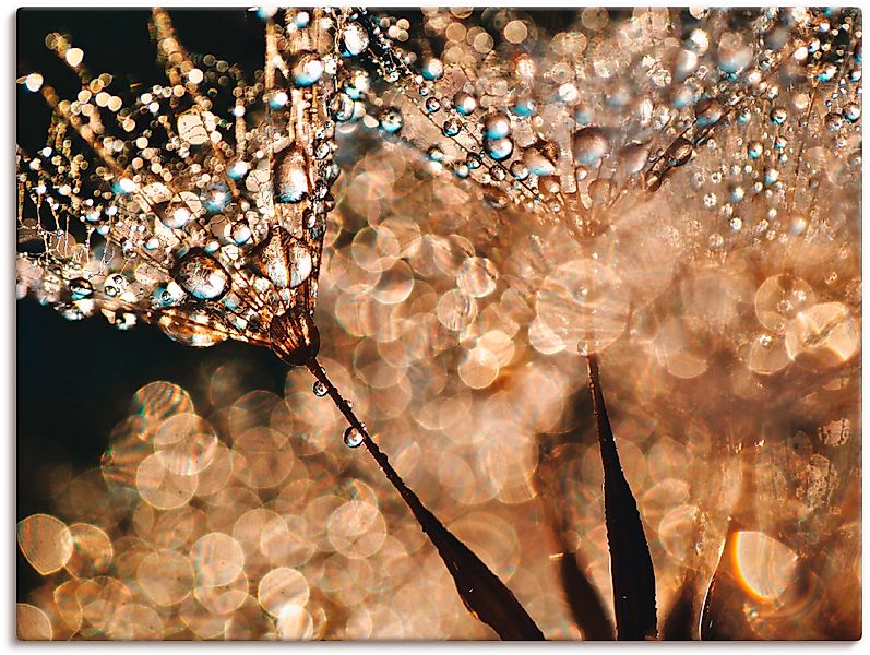 Artland Wandbild »Pusteblume Goldschimmer« 1 Stk. tlg. als Alubild, Outdoor günstig online kaufen