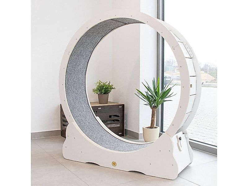 Canadian Cat Company Tier-Aktivitätsspiel Cat in Motion 2.0 - Tierlaufrad, günstig online kaufen