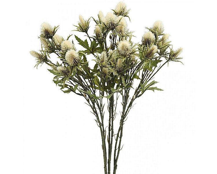 Künstliche Zimmerpflanze Distel künstlich Deko-Zweig Creme 68cm 10 Blüten K günstig online kaufen
